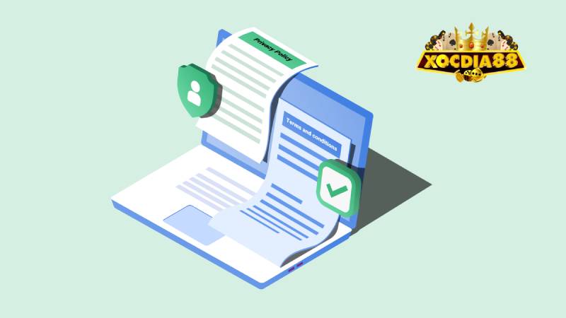 Quyền sửa đổi và bổ sung điều khoản: Luôn cập nhật để phù hợp thực tiễn
