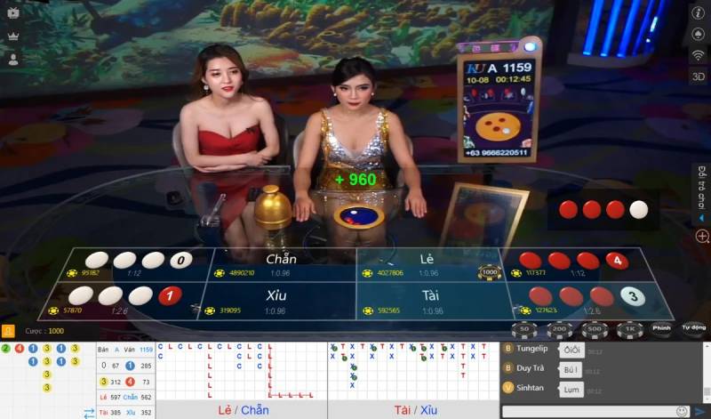 Xác suất trong xóc đĩa là gì?