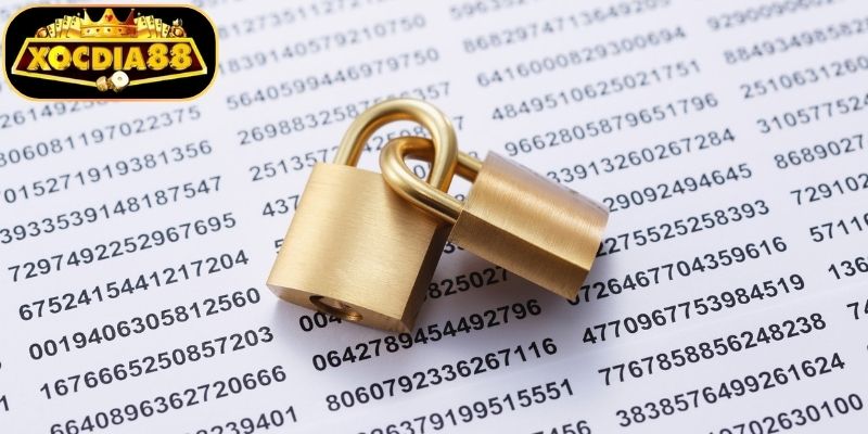 Chính Sách Bảo Mật 3 Những đặc quyền cho người thực hiện chính sách
